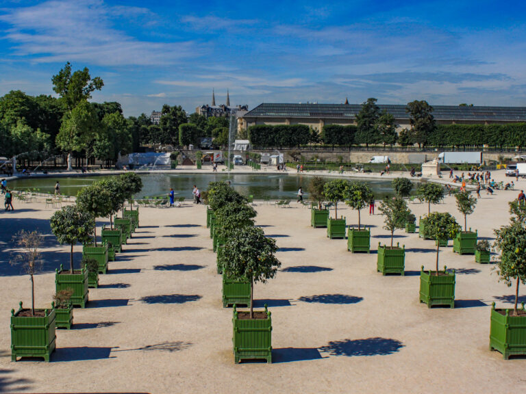jardin tuileries