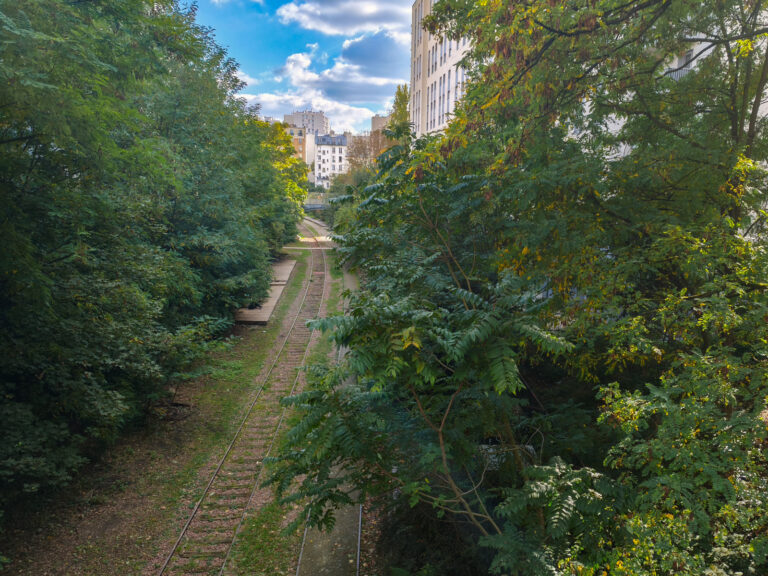 petite ceinture mare