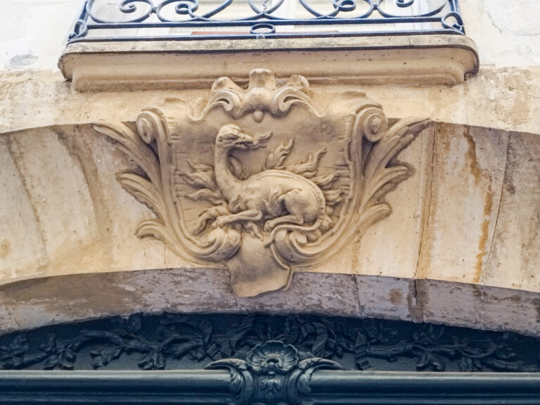 salamandre hirondelle