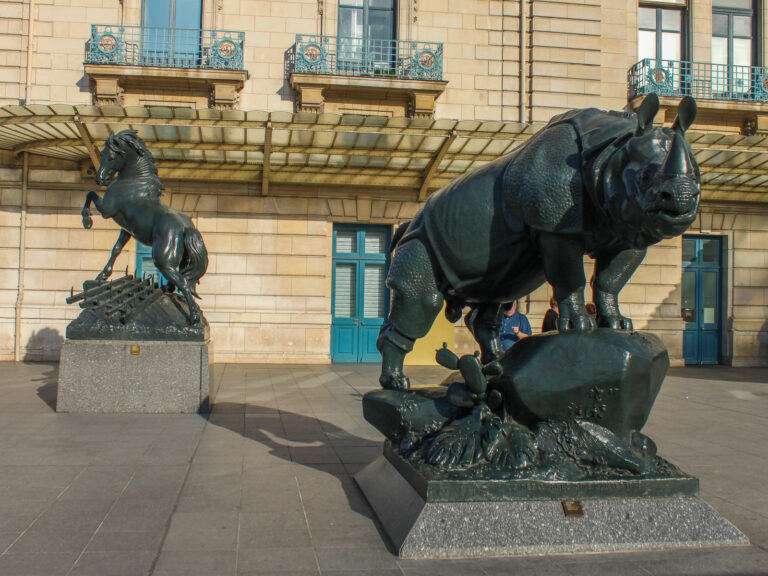 animaux orsay
