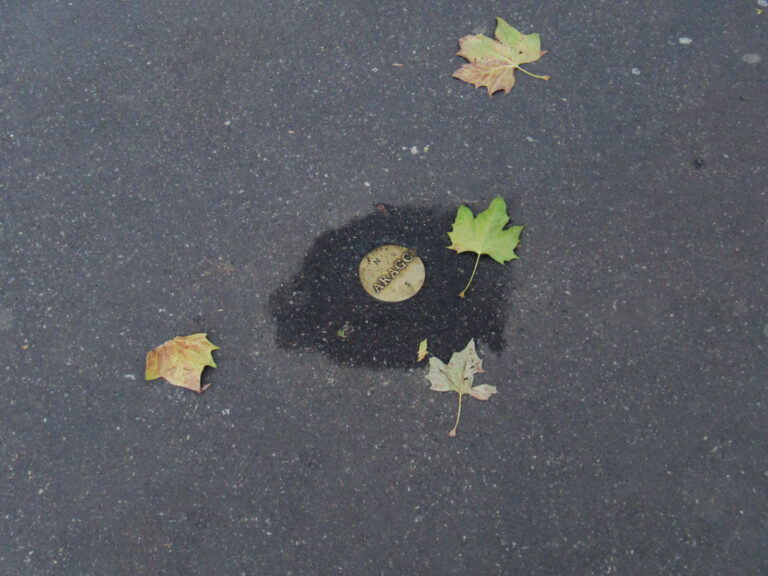 medaillon bdstgermain