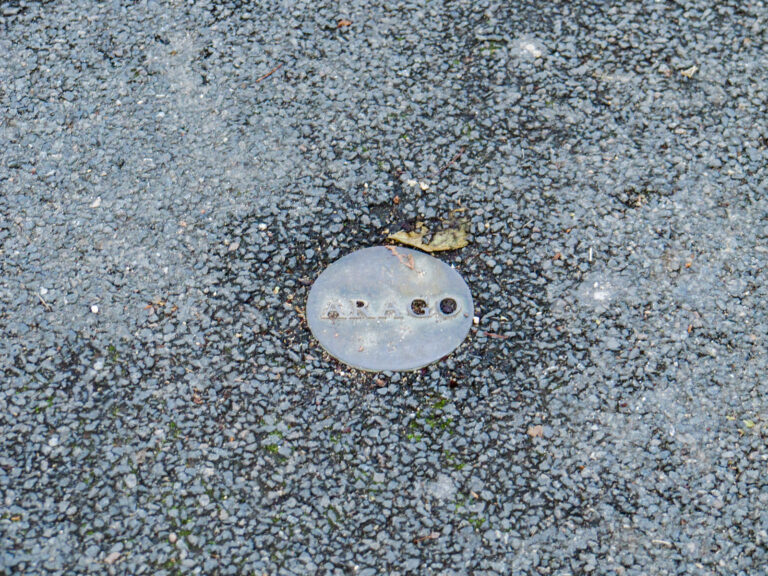 medaillon observatoire