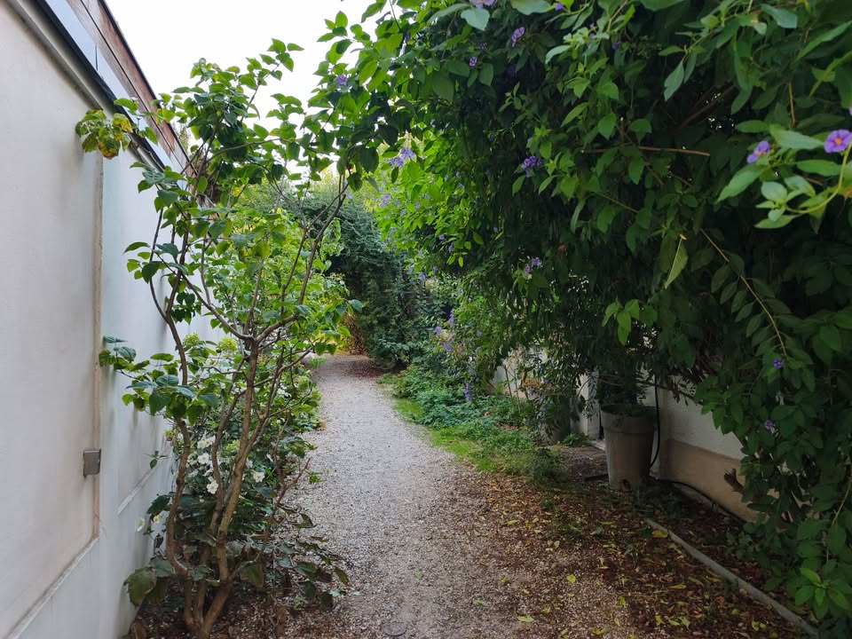ParisAncien